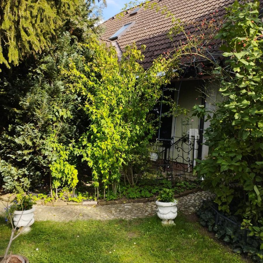 B&B Family Basement Apartment, Breakfast, Free Parking, 5Km From Tulln Chorherrn Exterior foto